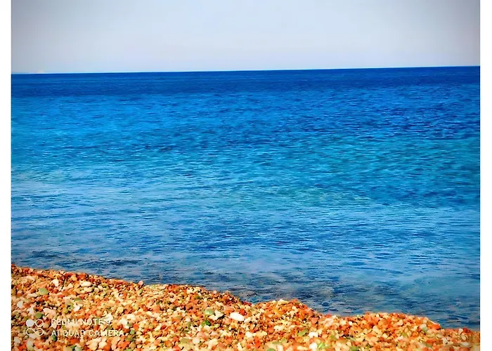 公寓 Traditional House 1925